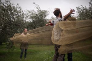 Genuino clandestino, 