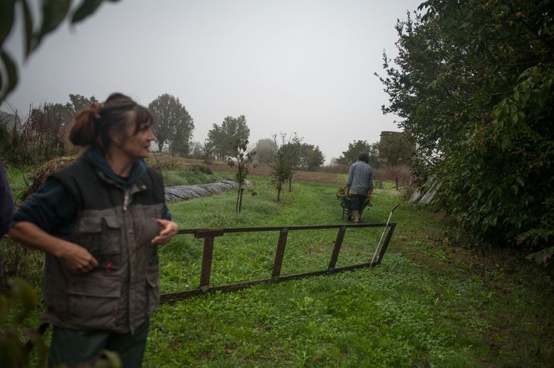 © Michele Lapini - Cingia de Botti - Cremona (Italy)