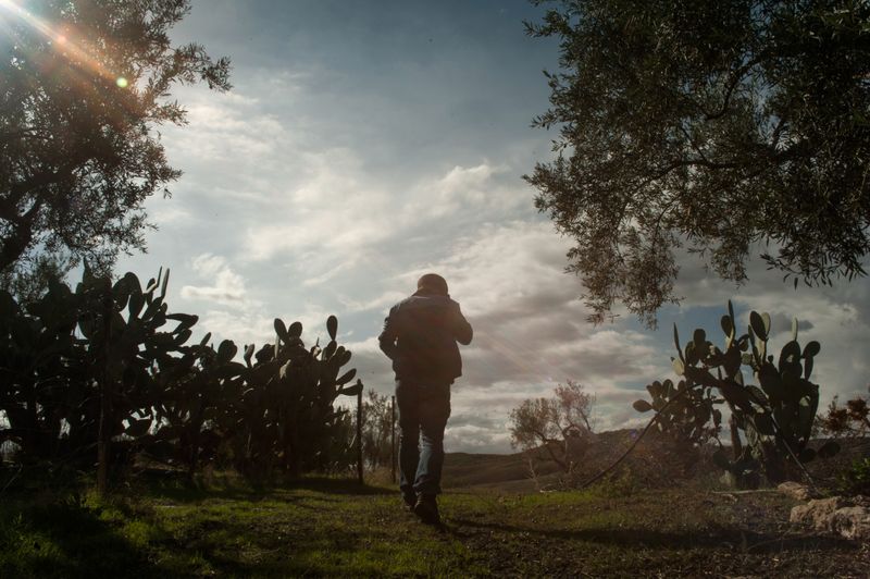 © Michele Lapini - Terre di Palike - Catania (Italy)