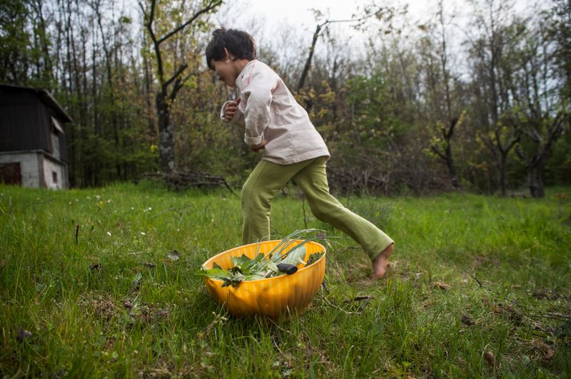 © Michele Lapini - Strulgador - Modena (Italy)