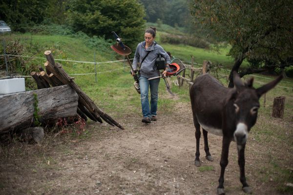© Michele Lapini - Cascina Malerbe - Torino (Italy)