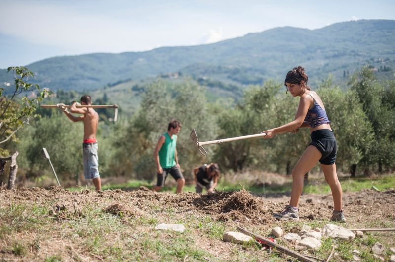 © Michele Lapini - Mondeggi - Firenze (Italy)