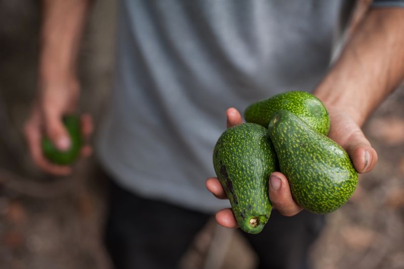 © Michele Lapini - Totò - Lamezia Terme (Italy)