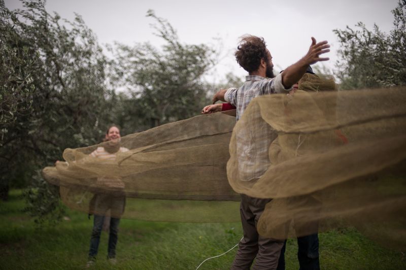 © Michele Lapini - Terre di Palike - Catania (Italy)