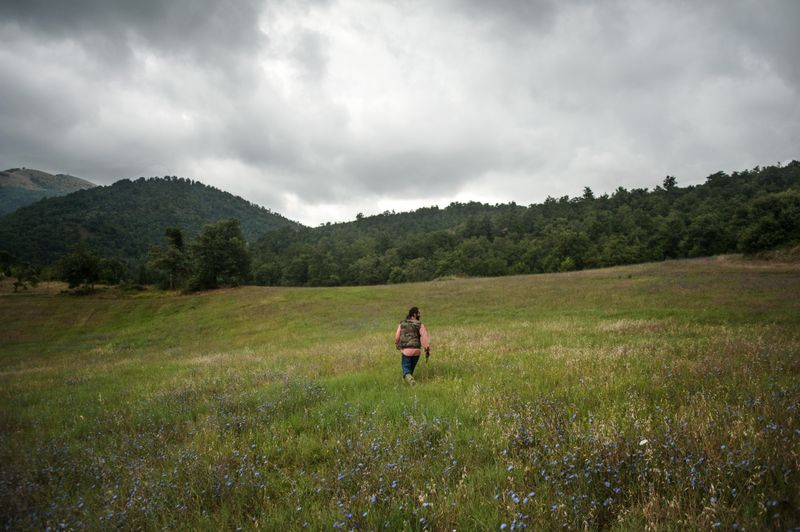 © Michele Lapini - Semi Bradi - Umbertide (Italy)