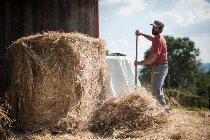 © Michele Lapini - La Goccia - Orvieto (Italy)