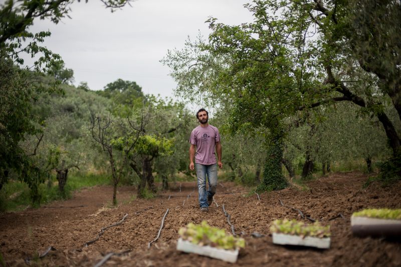 © Michele Lapini - Due Soli - Fara Sabina (Italy)