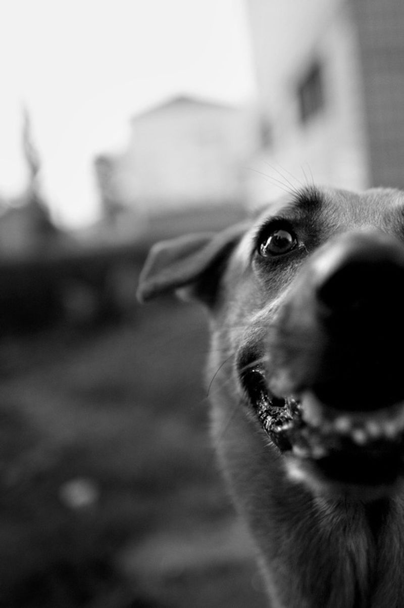 © Anna Voitenko - Image from the The territory. photography project