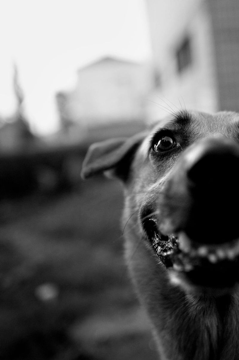 © Anna Voitenko - Image from the The territory. photography project