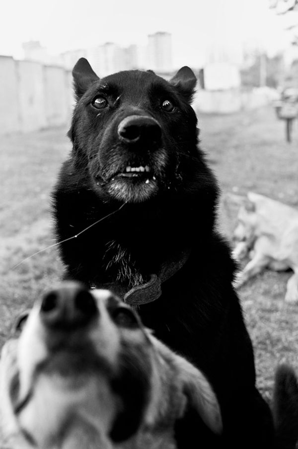 © Anna Voitenko - Image from the The territory. photography project