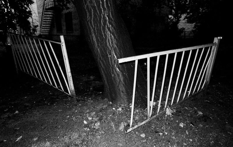 © Anna Voitenko - The territort of the always hungry dog. Kyiv Ukraine