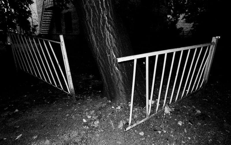 © Anna Voitenko - The territort of the always hungry dog. Kyiv Ukraine