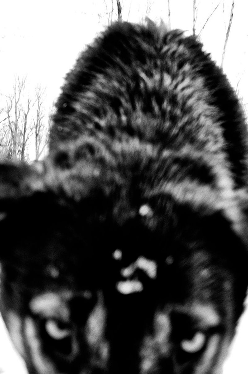 © Anna Voitenko - Image from the The territory. photography project