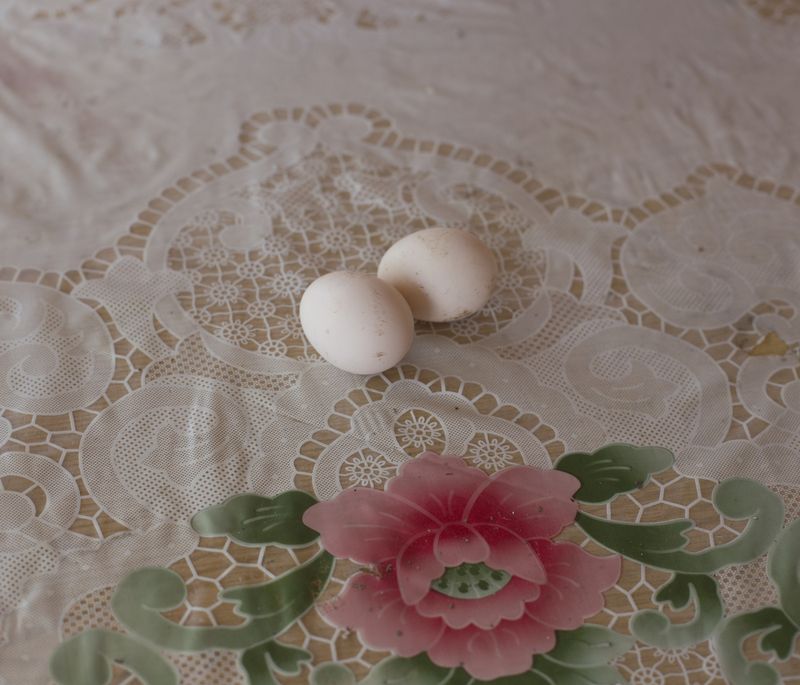 © Myriam Meloni - Eggs. The young brides are supposed to have their first child, within the first years of marriage.