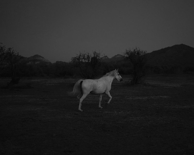 © Andrea KOESTERS - Image from the Oracle photography project