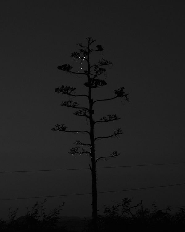 © Andrea KOESTERS - Image from the Oracle photography project