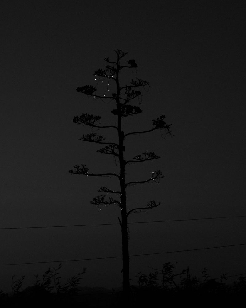 © Andrea KOESTERS - Image from the Oracle photography project