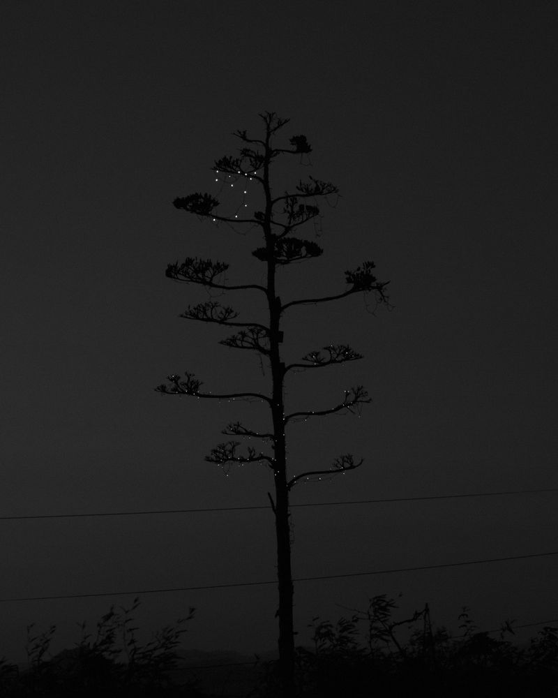 © Andrea KOESTERS - Image from the Oracle photography project