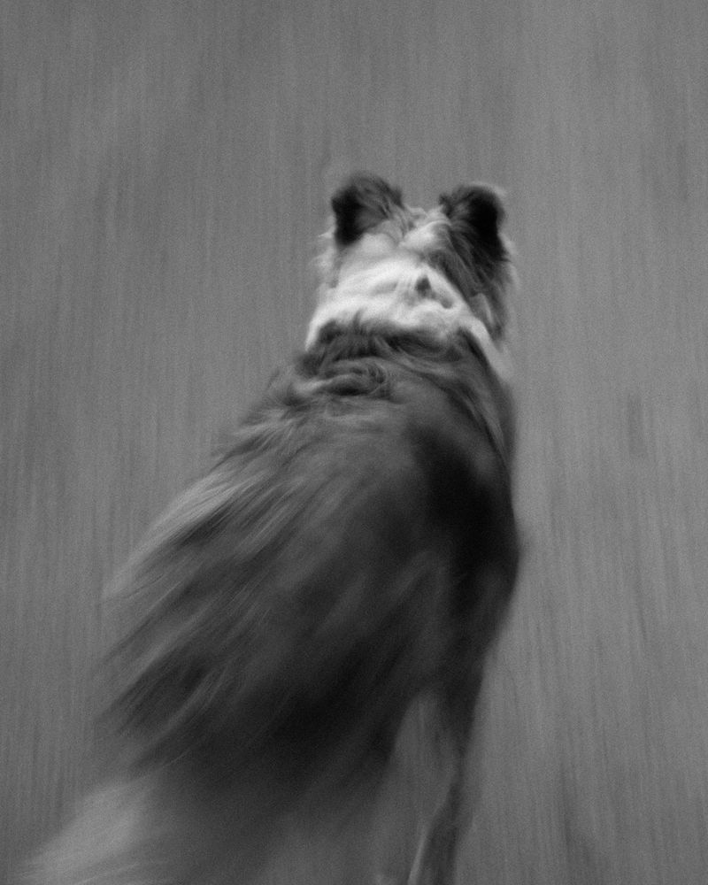 © Andrea KOESTERS - Image from the Oracle photography project