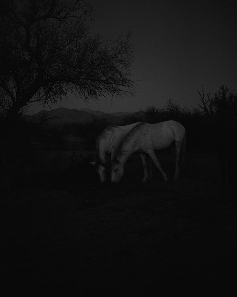 © Andrea KOESTERS - Image from the Oracle photography project