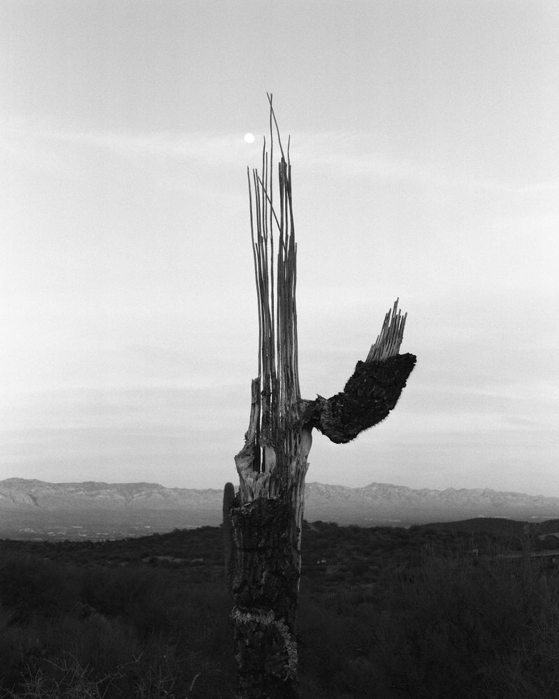 © Andrea KOESTERS - Image from the Oracle photography project