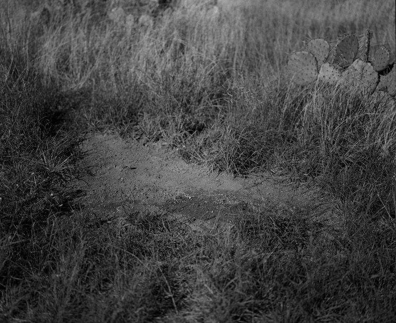 © Andrea KOESTERS - Image from the Oracle photography project