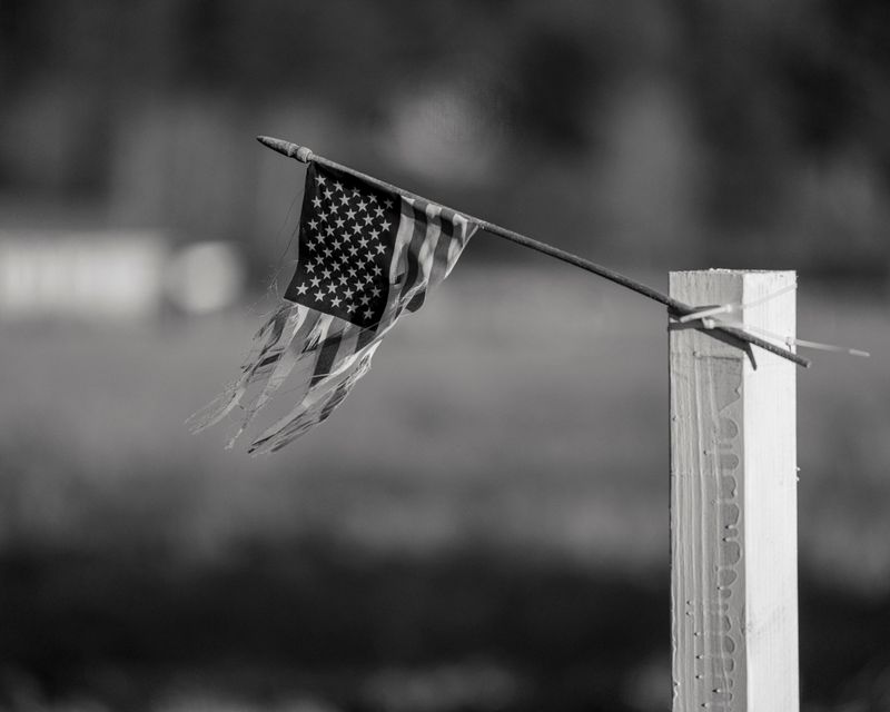 © Genavieve Heywood - indivisible