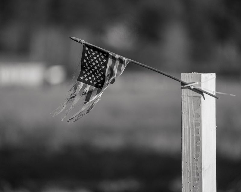 © Genavieve Heywood - indivisible