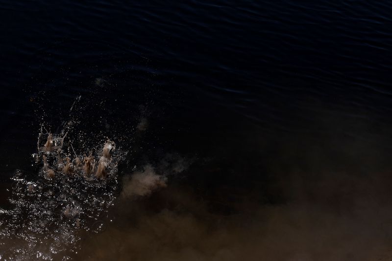 © Marilene Ribeiro - | Essay #2 |