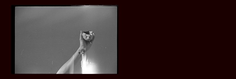 © Marilene Ribeiro - | Essay #5 |