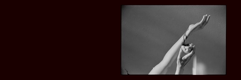 © Marilene Ribeiro - | Essay #5 |