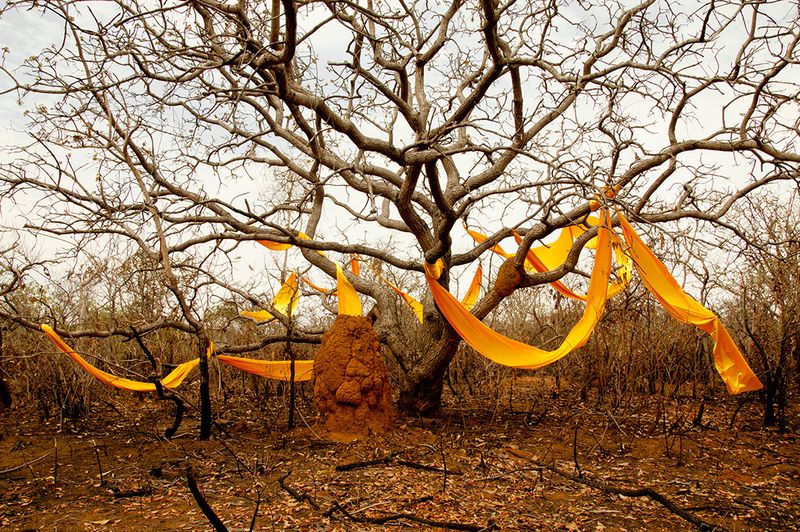 © Marilene Ribeiro - Experiment #2 (7)