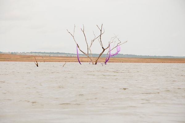 © Marilene Ribeiro - Experiment #1 (1)