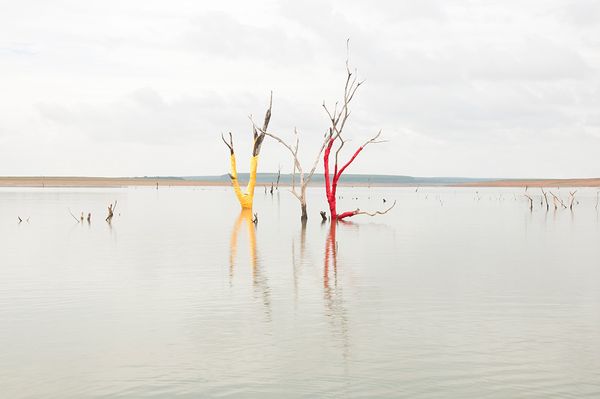 © Marilene Ribeiro - Experiment #1 (3)