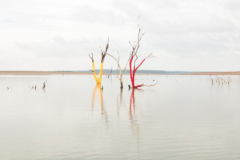 © Marilene Ribeiro - Experiment #1 (3)