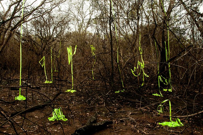 © Marilene Ribeiro - Experiment #2 (4)