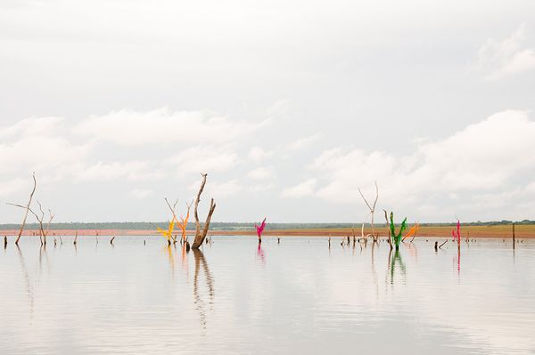 © Marilene Ribeiro - Experiment #1 (4)