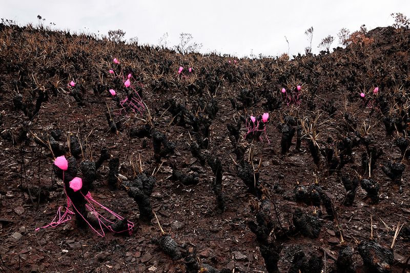 © Marilene Ribeiro - Experiment #2 (3)