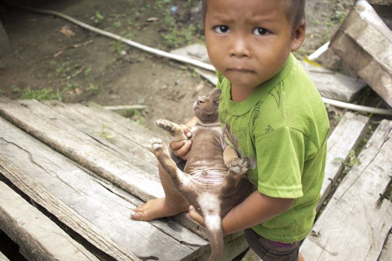 © Michael Eko - Image from the Adiu: Forest is our mother photography project
