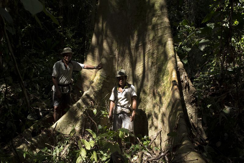 © Michael Eko - Image from the Adiu: Forest is our mother photography project