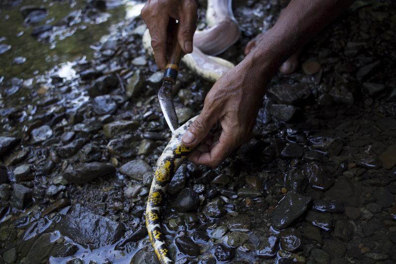 © Michael Eko - Image from the Adiu: Forest is our mother photography project