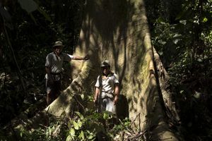 Adiu: Forest is our mother