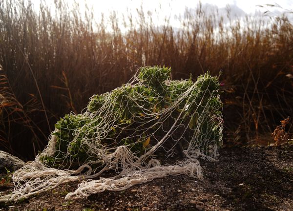 © Amanda Cots Martínez - Image from the Garbí photography project