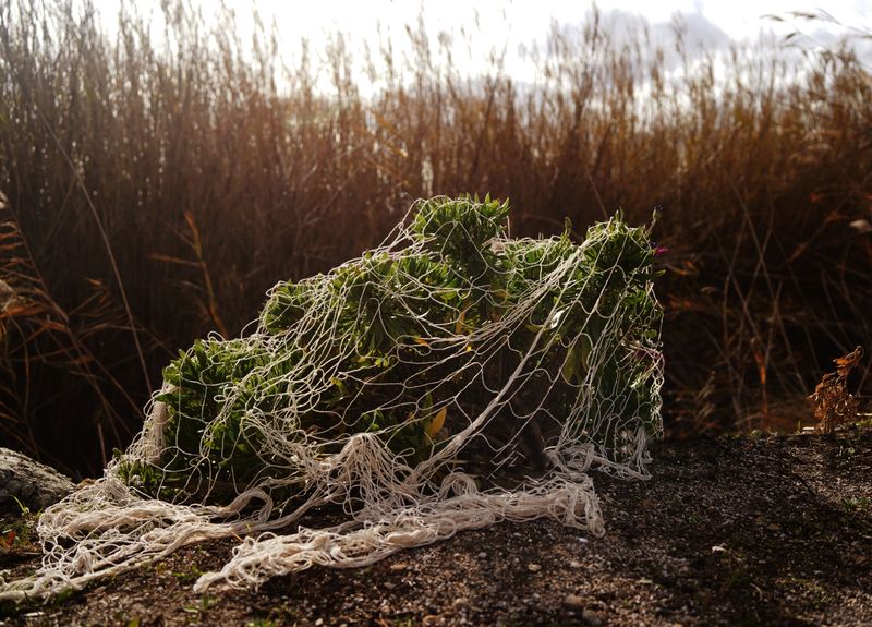 © Amanda Cots Martínez - Image from the Garbí photography project