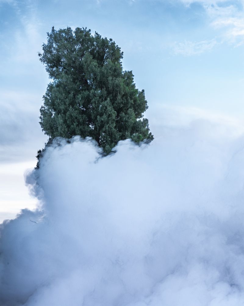 © Anton Bou - Palimpsest II