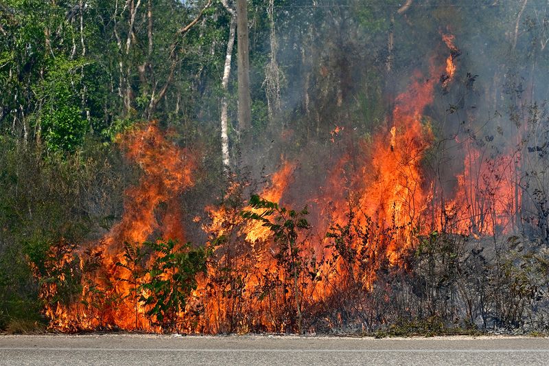 © Anton Bou - Lavoisier is on fire.