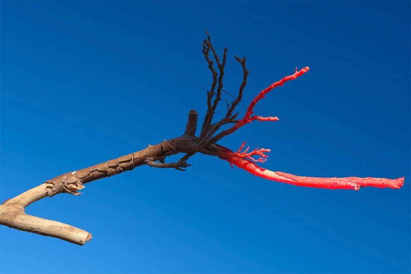 © Anton Bou - The flow reveals itself.