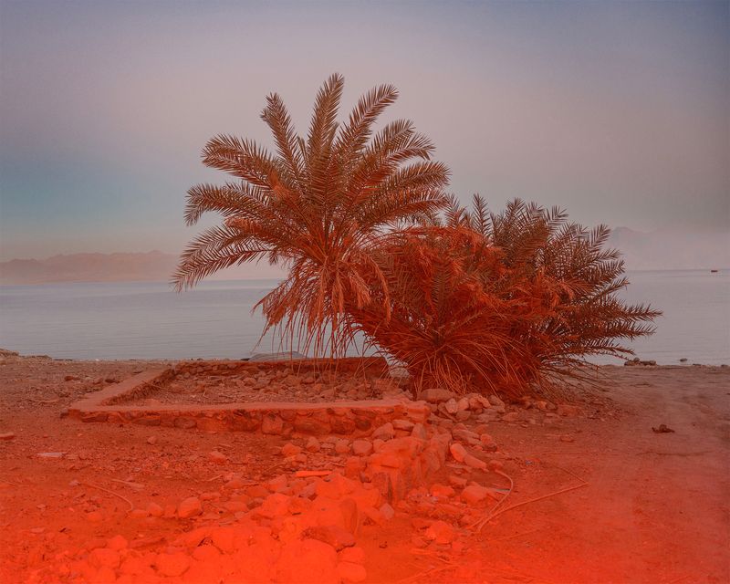 © Anton Bou - A Place like Home