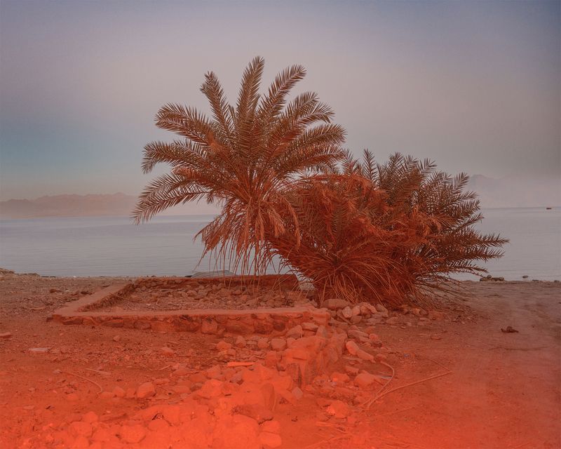 © Anton Bou - Home