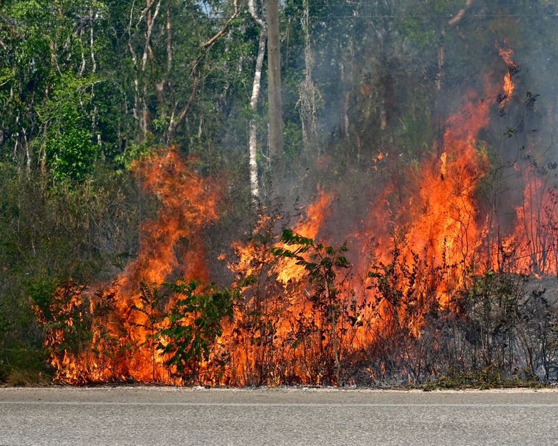 © Anton Bou - Antoine